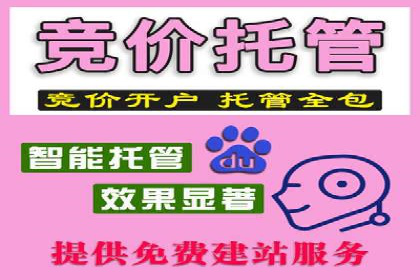 SEM竞价广告的智能优化：成功案例解读